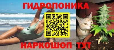 хмурый Мариинск