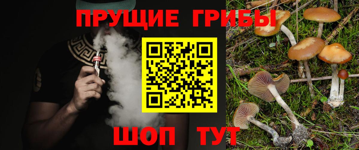 Псилоцибиновые грибы MAGIC MUSHROOMS  Вход с VPN  Камышин 